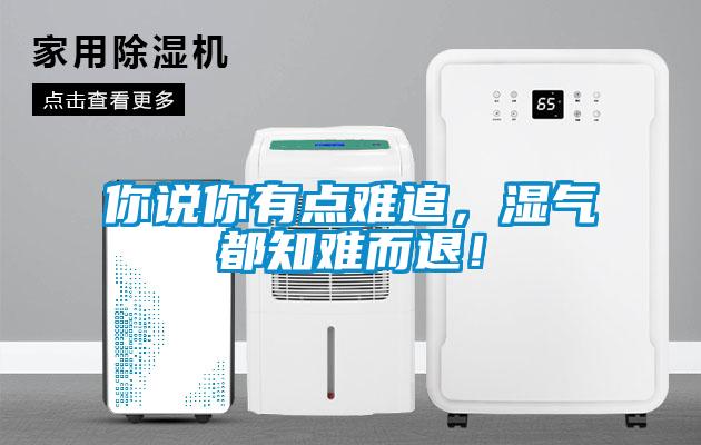 你說你有點難追，濕氣都知難而退！