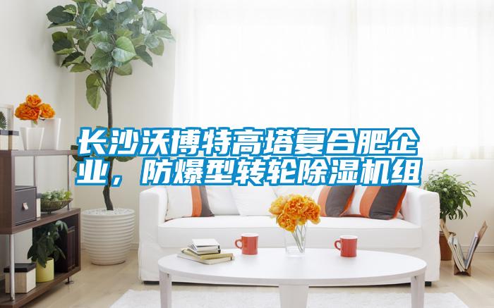 長沙沃博特高塔復合肥企業，防爆型轉輪除濕機組