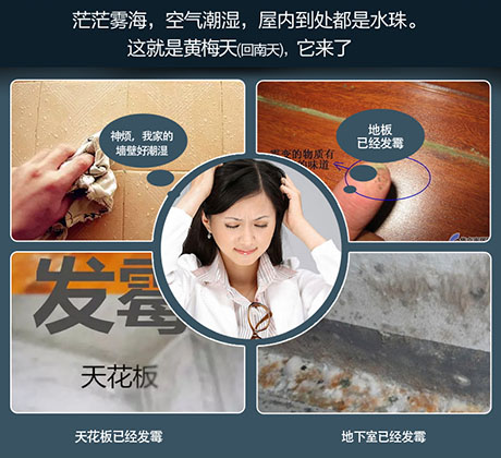 家庭別墅的地下室、衛生間、儲物室等該如何除濕？