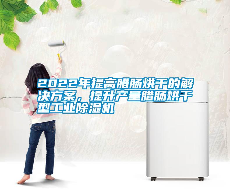 2022年提高臘腸烘干的解決方案，提升產量臘腸烘干型工業除濕機