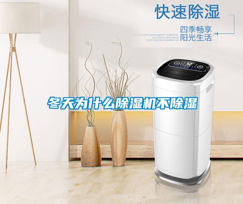 冬天為什么除濕機不除濕