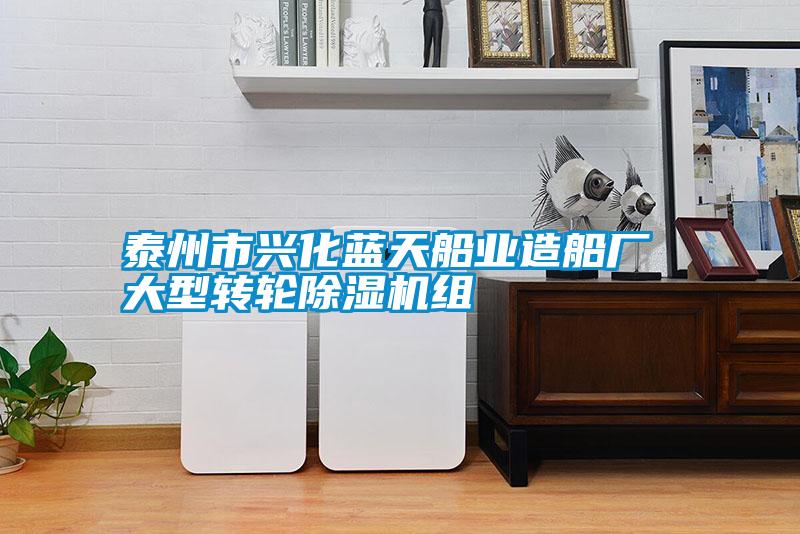 泰州市興化藍天船業造船廠 大型轉輪除濕機組