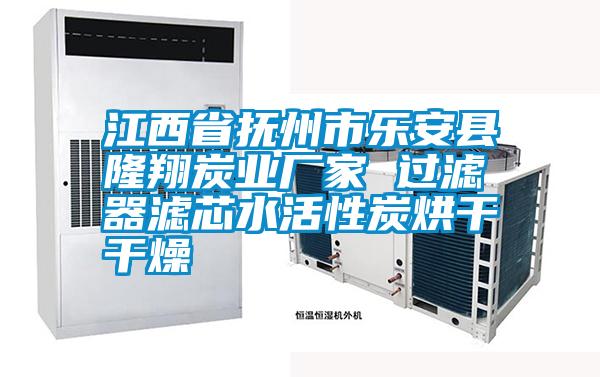 江西省撫州市樂安縣隆翔炭業廠家 過濾器濾芯水活性炭烘干干燥