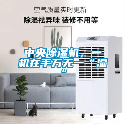 中央除濕機(jī)，一機(jī)在手萬無一“濕”
