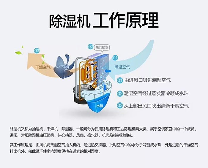 對抗梅雨天，絕不認輸！
