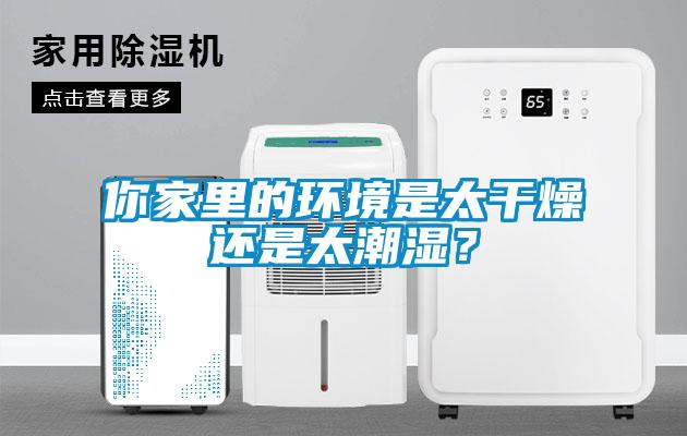 你家里的環(huán)境是太干燥還是太潮濕？