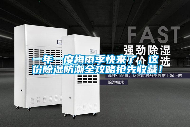 一年一度梅雨季快來了，這份除濕防潮全攻略搶先收藏！