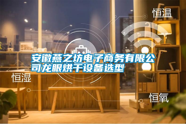 安徽燕之坊電子商務有限公司龍眼烘干設備選型