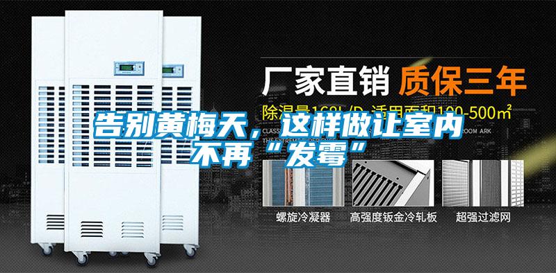 告別黃梅天，這樣做讓室內不再“發霉”