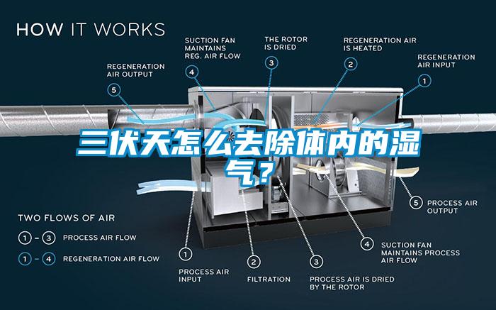 三伏天怎么去除體內的濕氣？