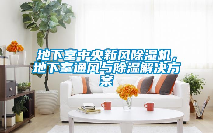 地下室中央新風除濕機，地下室通風與除濕解決方案