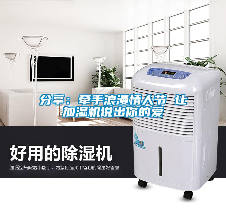 分享：牽手浪漫情人節 讓加濕機說出你的愛