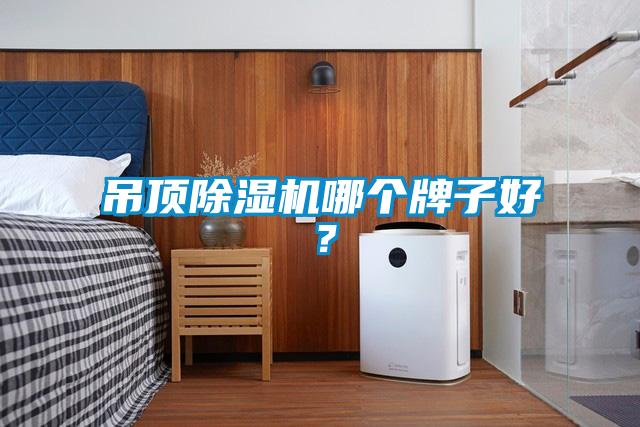 吊頂除濕機哪個牌子好？