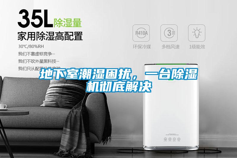 地下室潮濕困擾，一臺除濕機徹底解決
