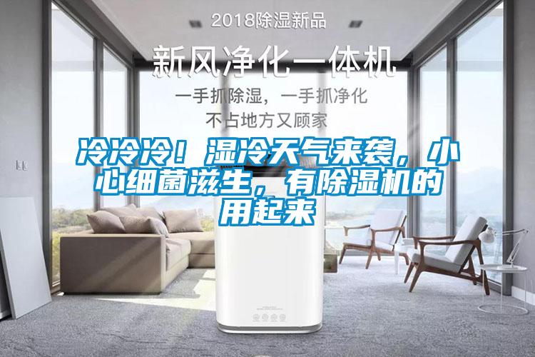 冷冷冷！濕冷天氣來襲，小心細菌滋生，有除濕機的用起來