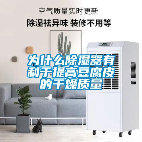 為什么除濕器有利于提高豆腐皮的干燥質量