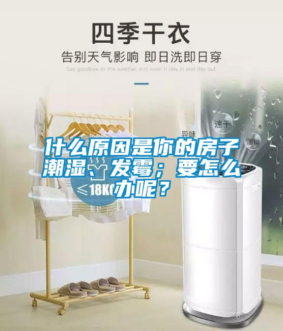 什么原因是你的房子潮濕、發(fā)霉；要怎么辦呢？