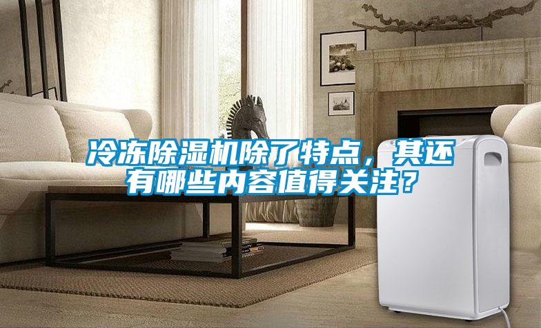 冷凍除濕機(jī)除了特點(diǎn)，其還有哪些內(nèi)容值得關(guān)注？