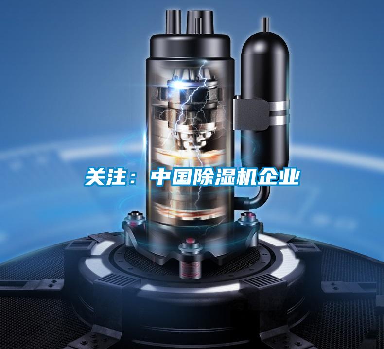 關注：中國除濕機企業