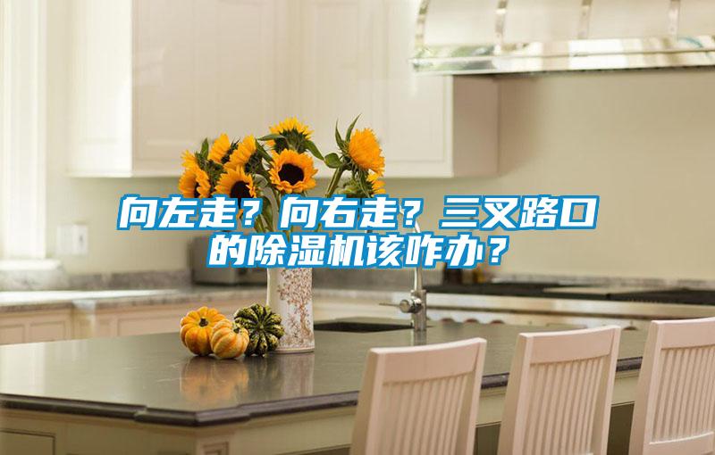 向左走？向右走？三叉路口的除濕機(jī)該咋辦？