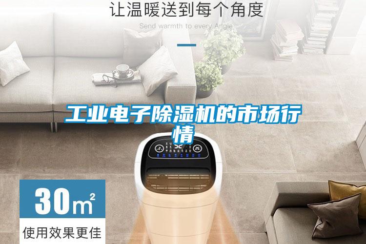 工業電子除濕機的市場行情