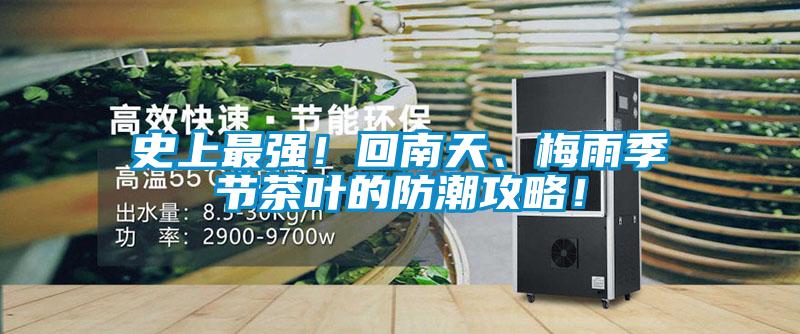 史上最強！回南天、梅雨季節茶葉的防潮攻略！