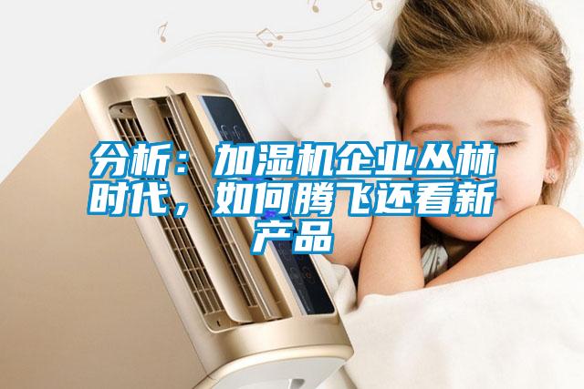 分析：加濕機企業叢林時代，如何騰飛還看新產品