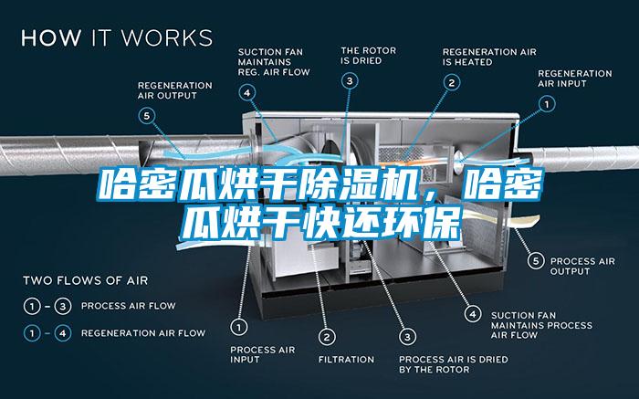 哈密瓜烘干除濕機，哈密瓜烘干快還環保