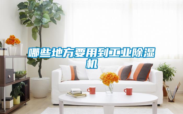 哪些地方要用到工業除濕機
