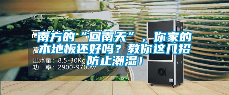 南方的“回南天”，你家的木地板還好嗎？教你這幾招防止潮濕！