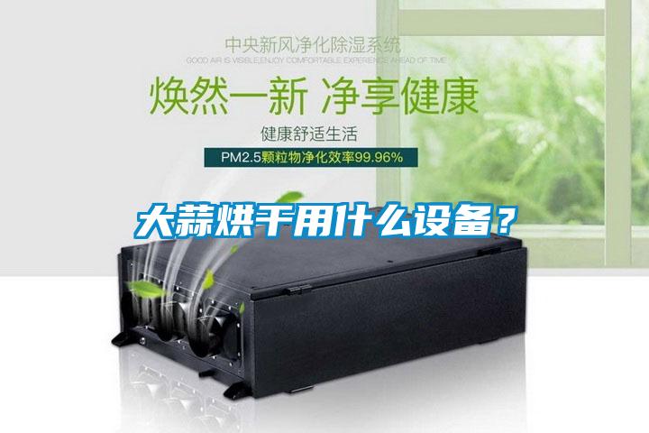 大蒜烘干用什么設備？