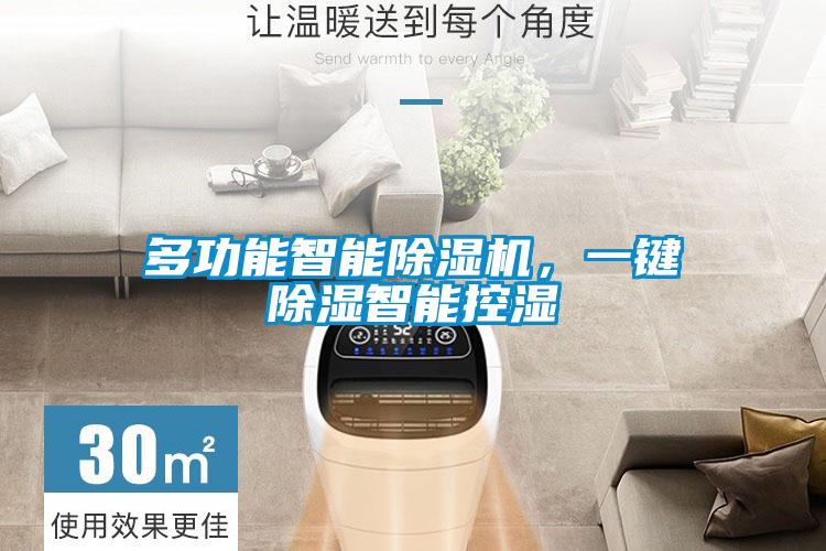多功能智能除濕機，一鍵除濕智能控濕