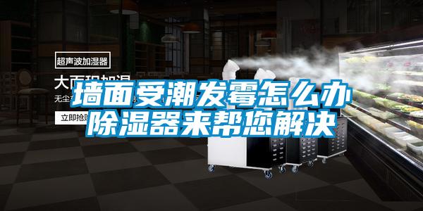 墻面受潮發霉怎么辦除濕器來幫您解決