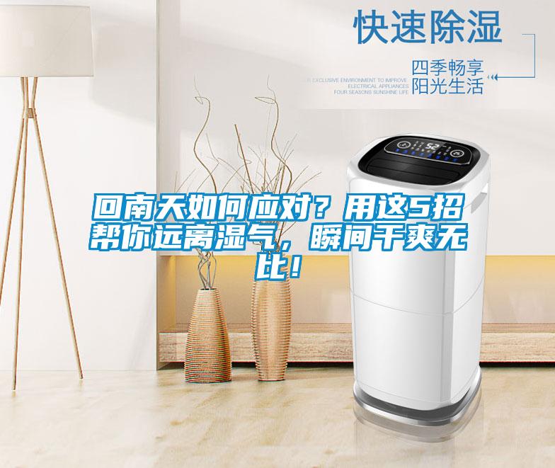 回南天如何應對？用這5招幫你遠離濕氣，瞬間干爽無比！