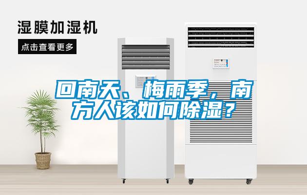 回南天、梅雨季，南方人該如何除濕？