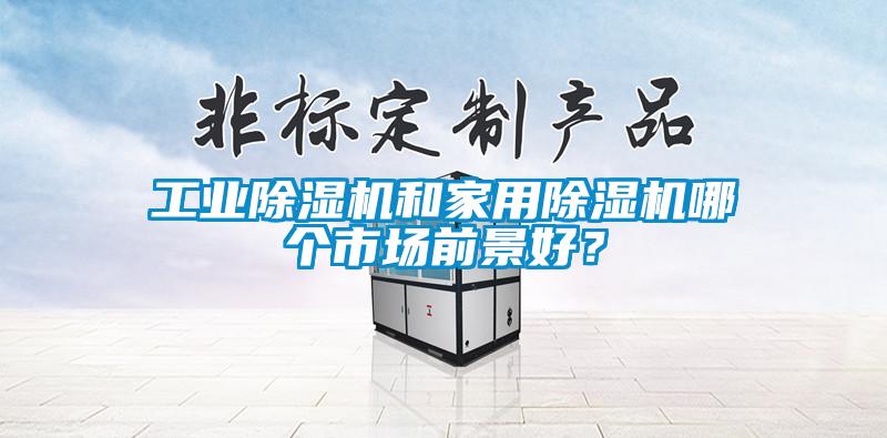 工業(yè)除濕機和家用除濕機哪個市場前景好？