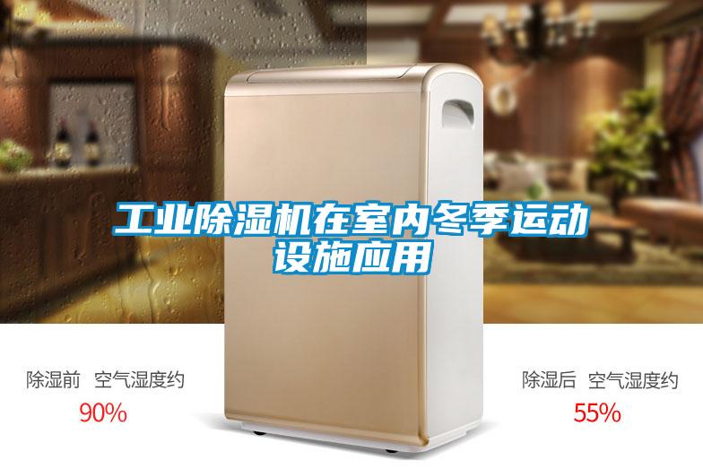 工業(yè)除濕機(jī)在室內(nèi)冬季運(yùn)動(dòng)設(shè)施應(yīng)用