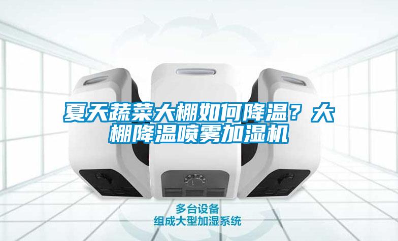 夏天蔬菜大棚如何降溫？大棚降溫噴霧加濕機