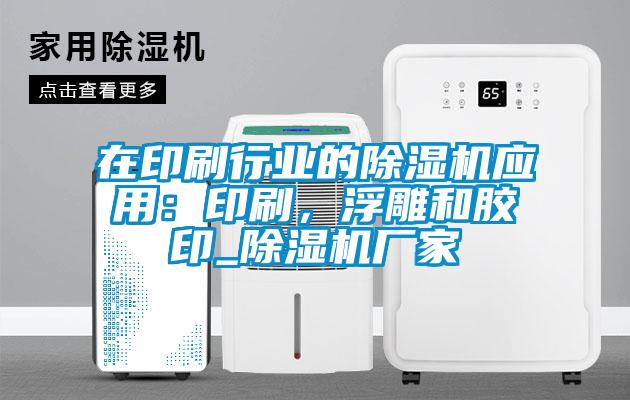 在印刷行業的除濕機應用：印刷，浮雕和膠印_除濕機廠家