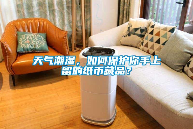 天氣潮濕，如何保護(hù)你手上留的紙幣藏品？