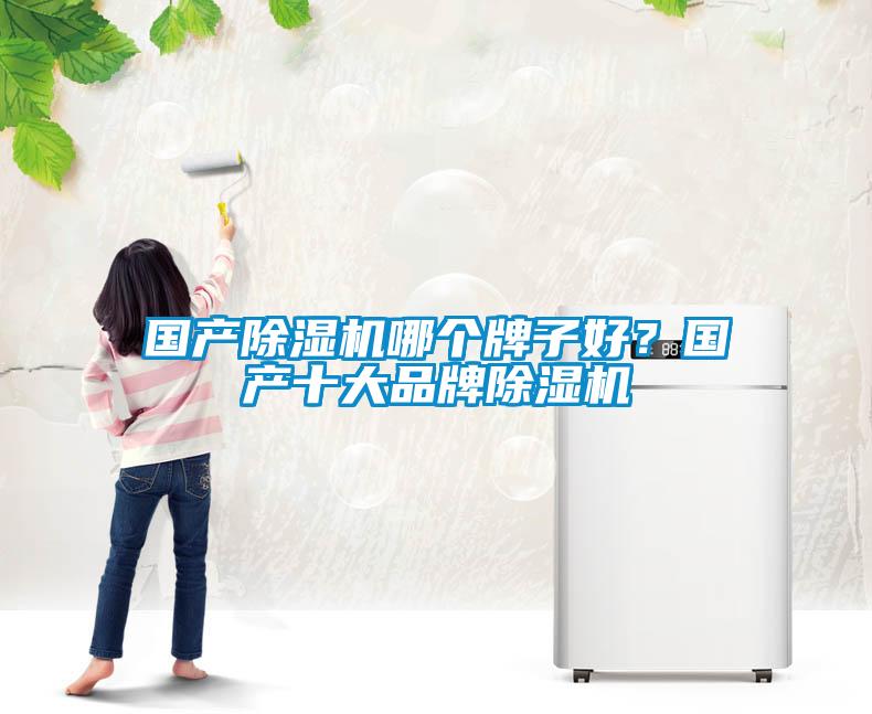 國產除濕機哪個牌子好?國產十大品牌除濕機
