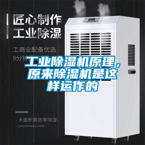 工業除濕機原理，原來除濕機是這樣運作的