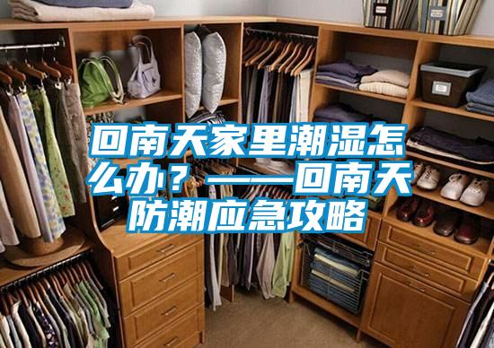 回南天家里潮濕怎么辦？——回南天防潮應急攻略