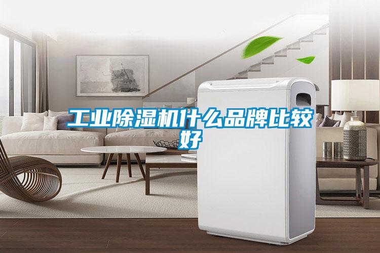 工業除濕機什么品牌比較好