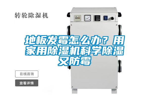 地板發霉怎么辦？用家用除濕機科學除濕又防霉