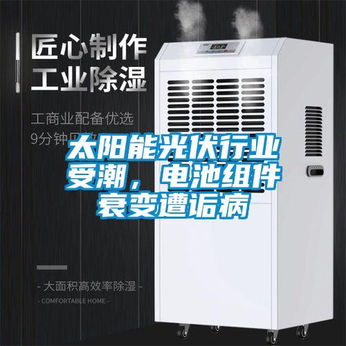 太陽能光伏行業受潮，電池組件衰變遭詬病