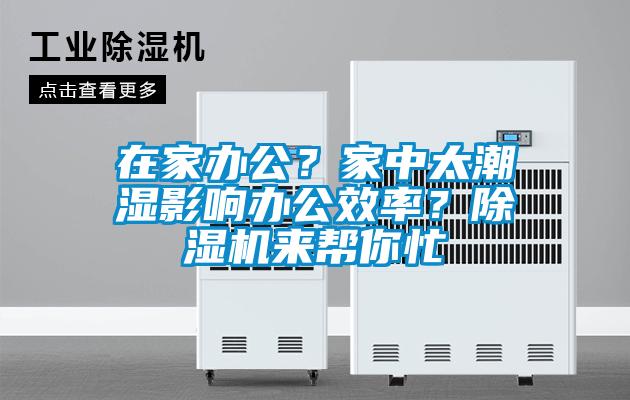 在家辦公？家中太潮濕影響辦公效率？除濕機來幫你忙