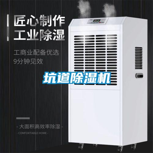坑道除濕機