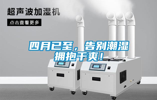 四月已至，告別潮濕擁抱干爽！