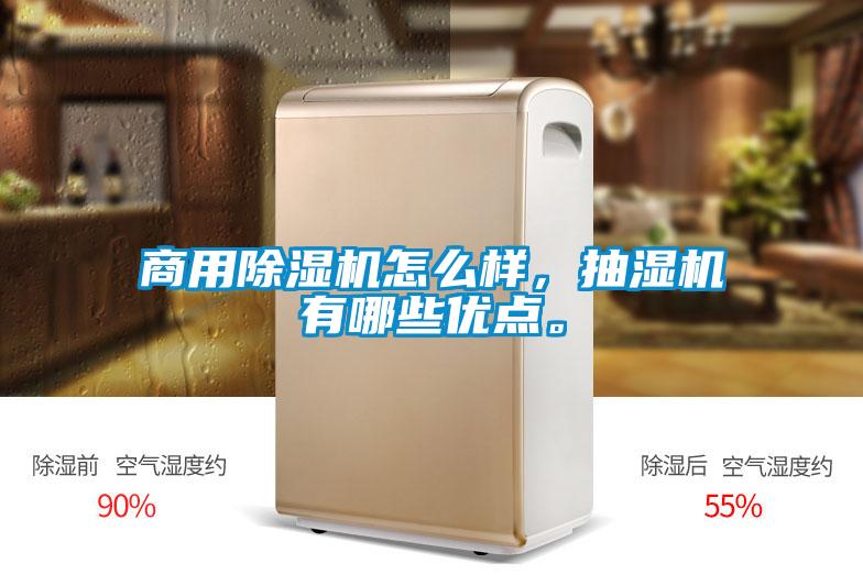 商用除濕機怎么樣，抽濕機有哪些優點。
